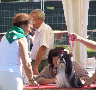 du lac de Cupidon - EXPOSITION HASPARREN