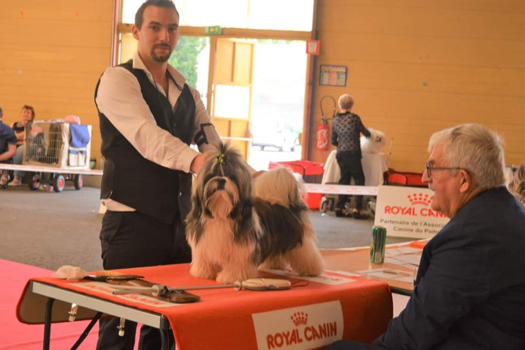 du lac de Cupidon - Exposition Châtellerault 2018 n'y yang du lac de cupidon 