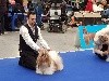  - Exposition canine Paris dog show 