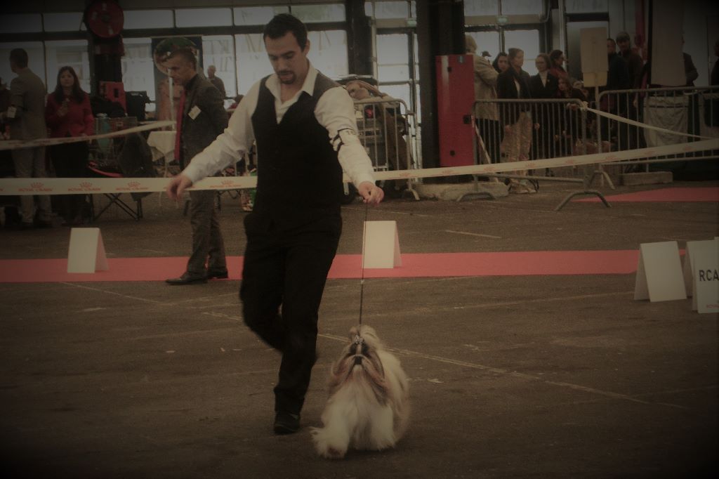 du lac de Cupidon - résultats exposition bordeaux 2018 jolie rêve du lac de cupidon 