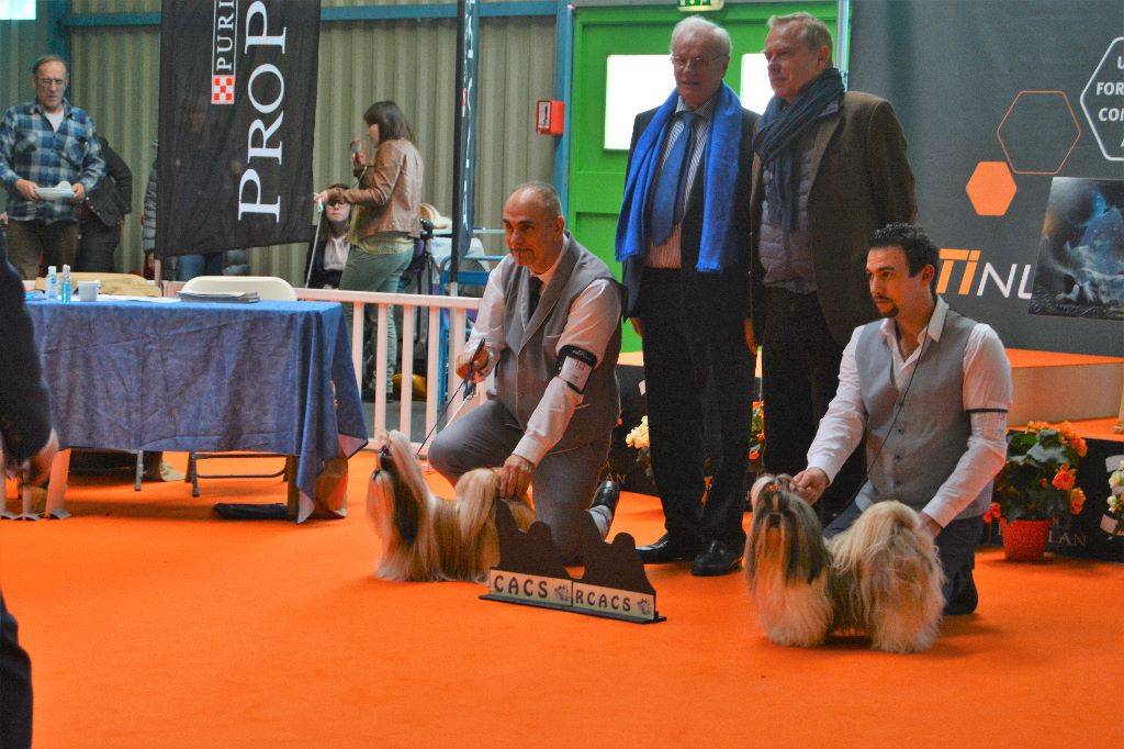 du lac de Cupidon - résultats exposition Montluçon 2018 jolie rêve du lac de cupidon