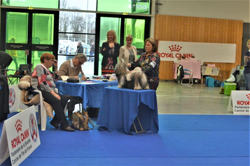 du lac de Cupidon - Exposition canine Paris dog show 