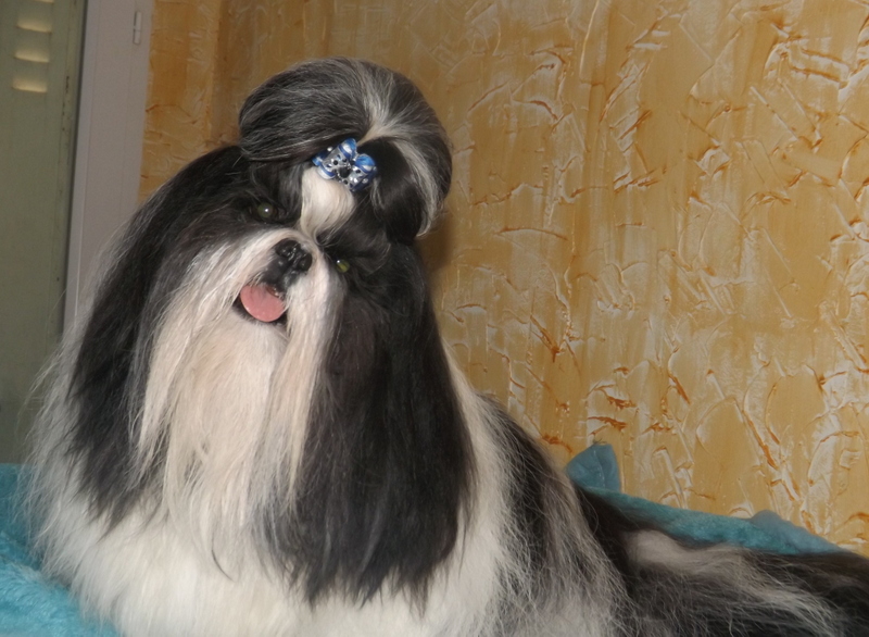 Hooker du lac de Cupidon