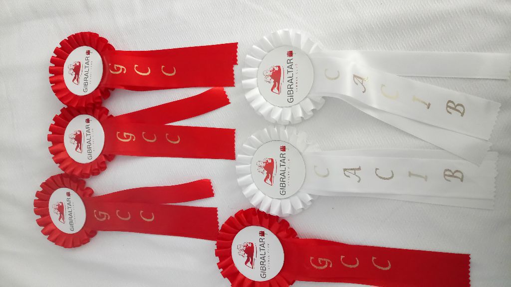 du lac de Cupidon - Résultats Exposition gibraltar 2017