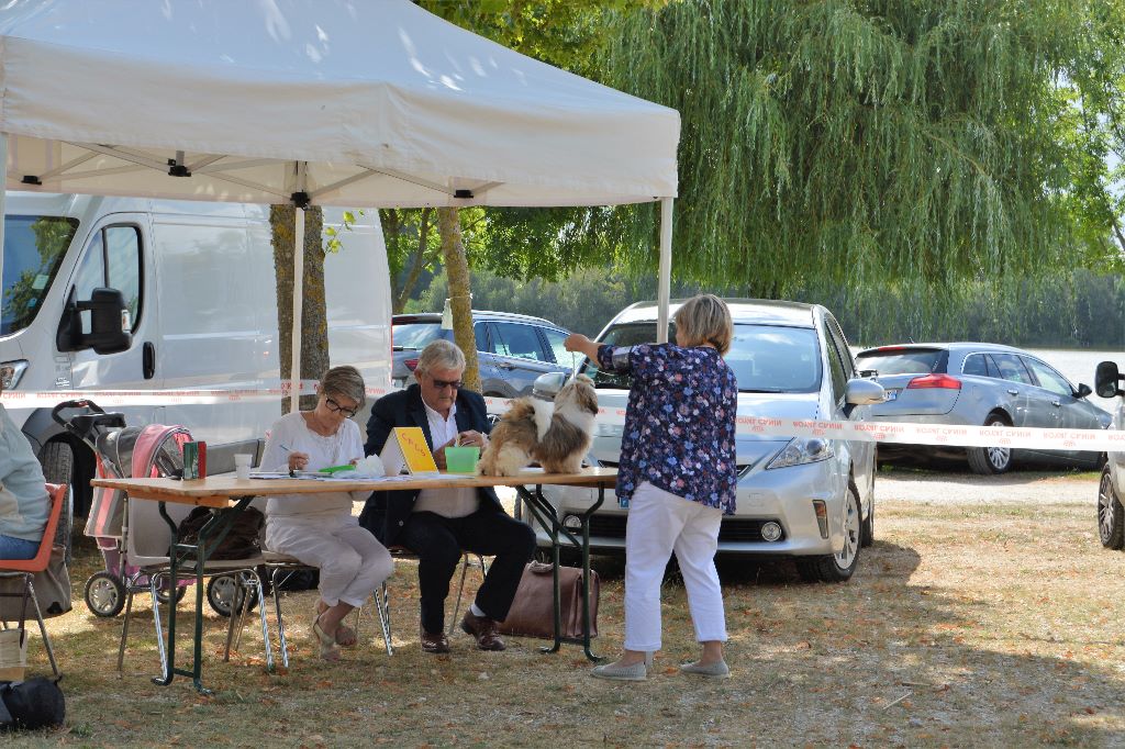 du lac de Cupidon - Exposition aigrefeuille d'aunis o! la menteuse du lac de cupidon