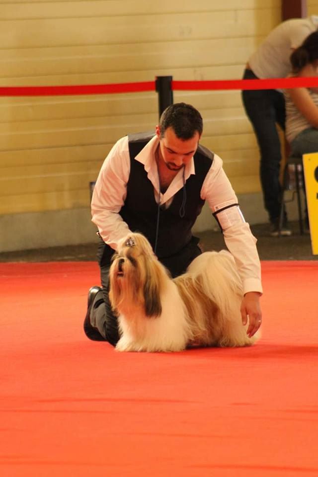 du lac de Cupidon - Exposition le Mans 18 novembre 2018