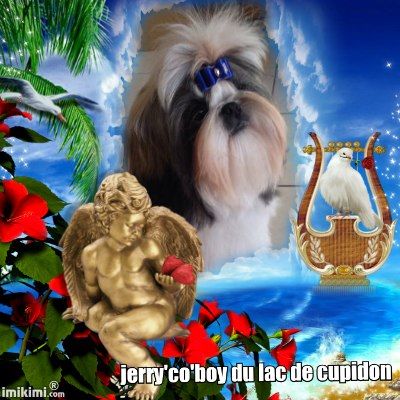 du lac de Cupidon - des nouvelles de jerry'co 'boy