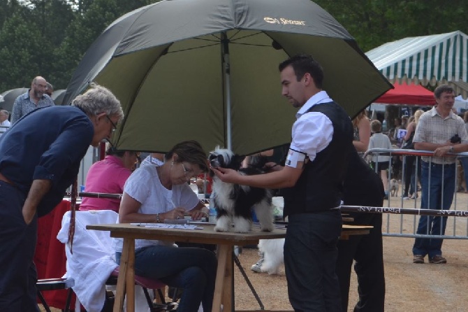 du lac de Cupidon - exposition Jarnac 2016 lumia mentosTaï Mandchou's