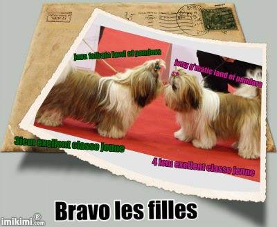 du lac de Cupidon - des filles de hatchi née chez catherine en concours périgeux