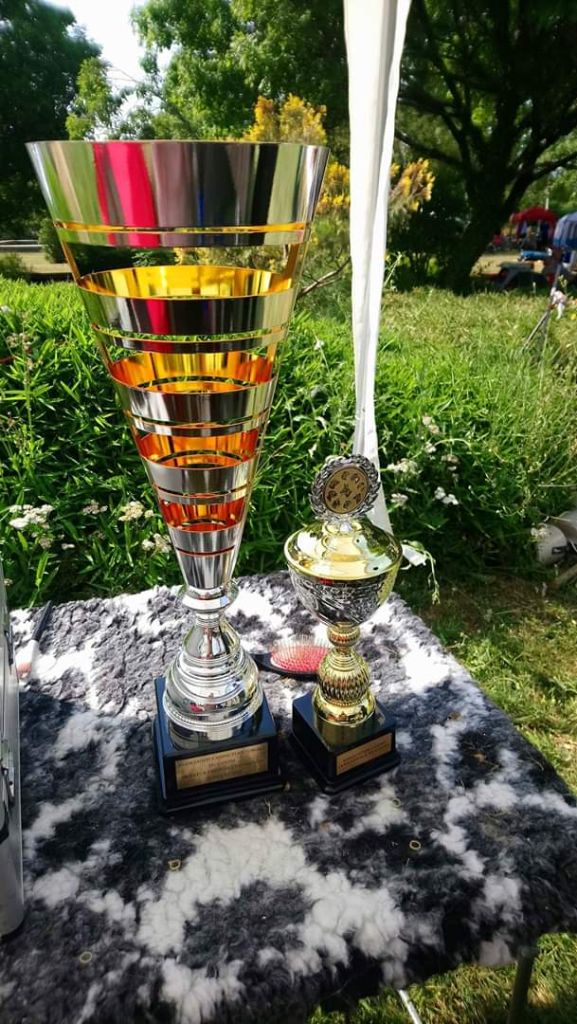 du lac de Cupidon - Aurillac une exposition canine plein d émotion