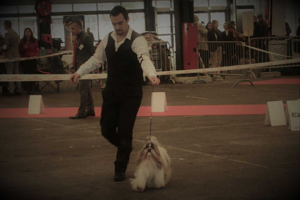 du lac de Cupidon - résultats exposition bordeaux 2018 jolie rêve du lac de cupidon