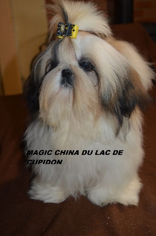 du lac de Cupidon - magic china du lac de cupidon
