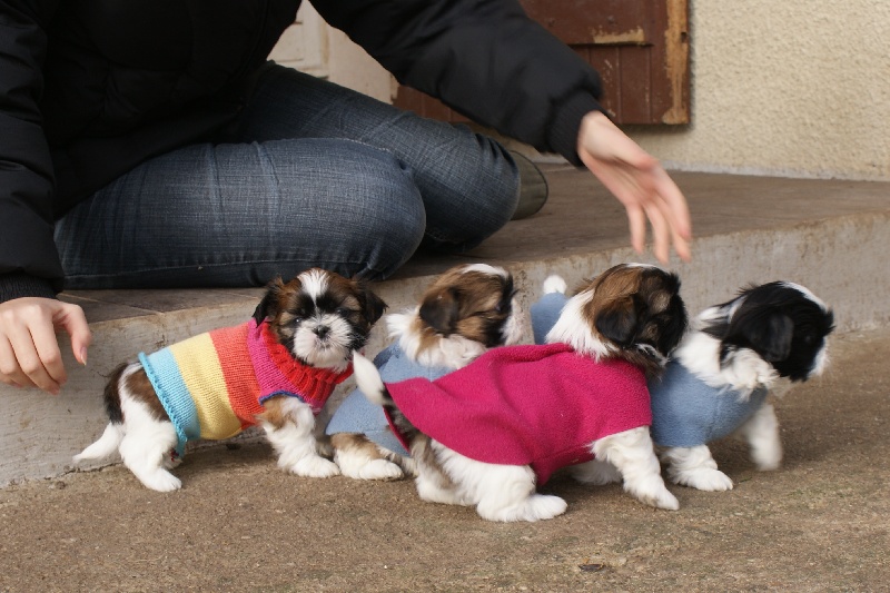 photos bébés