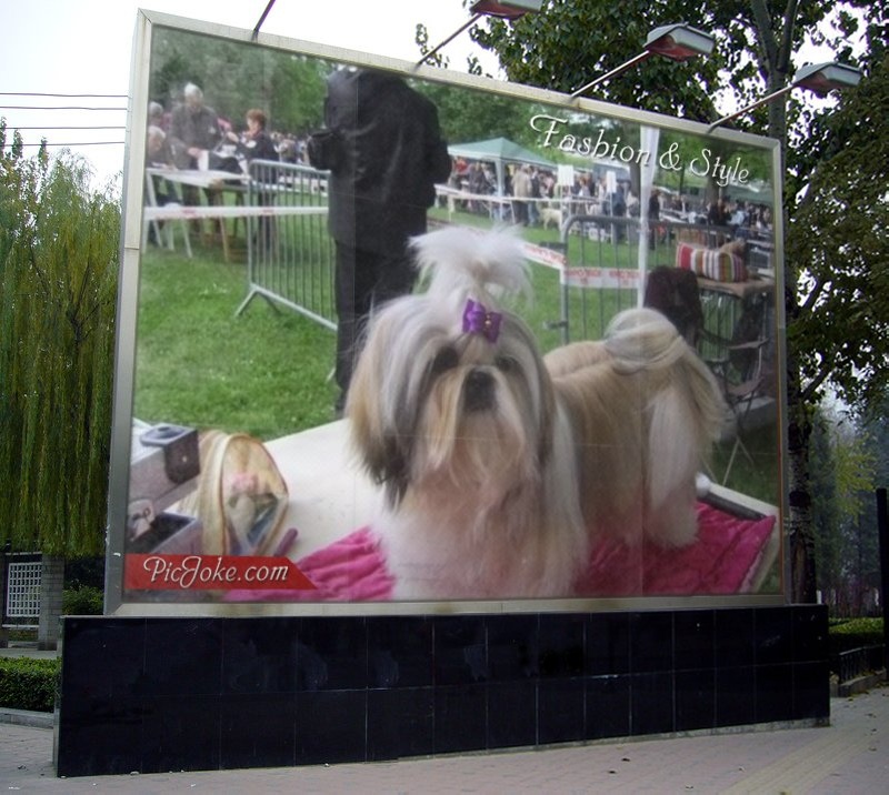 photos expositions